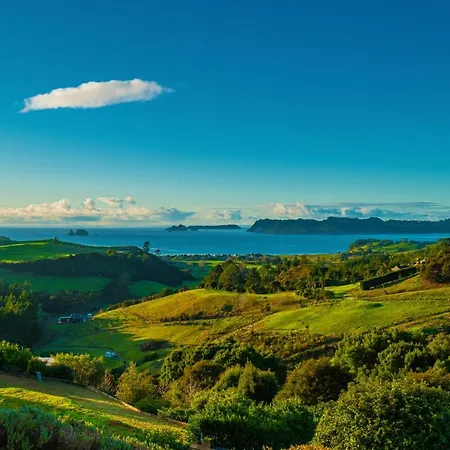 Bayview Valley Lodge Bed & Breakfast Whitianga Exterior photo
