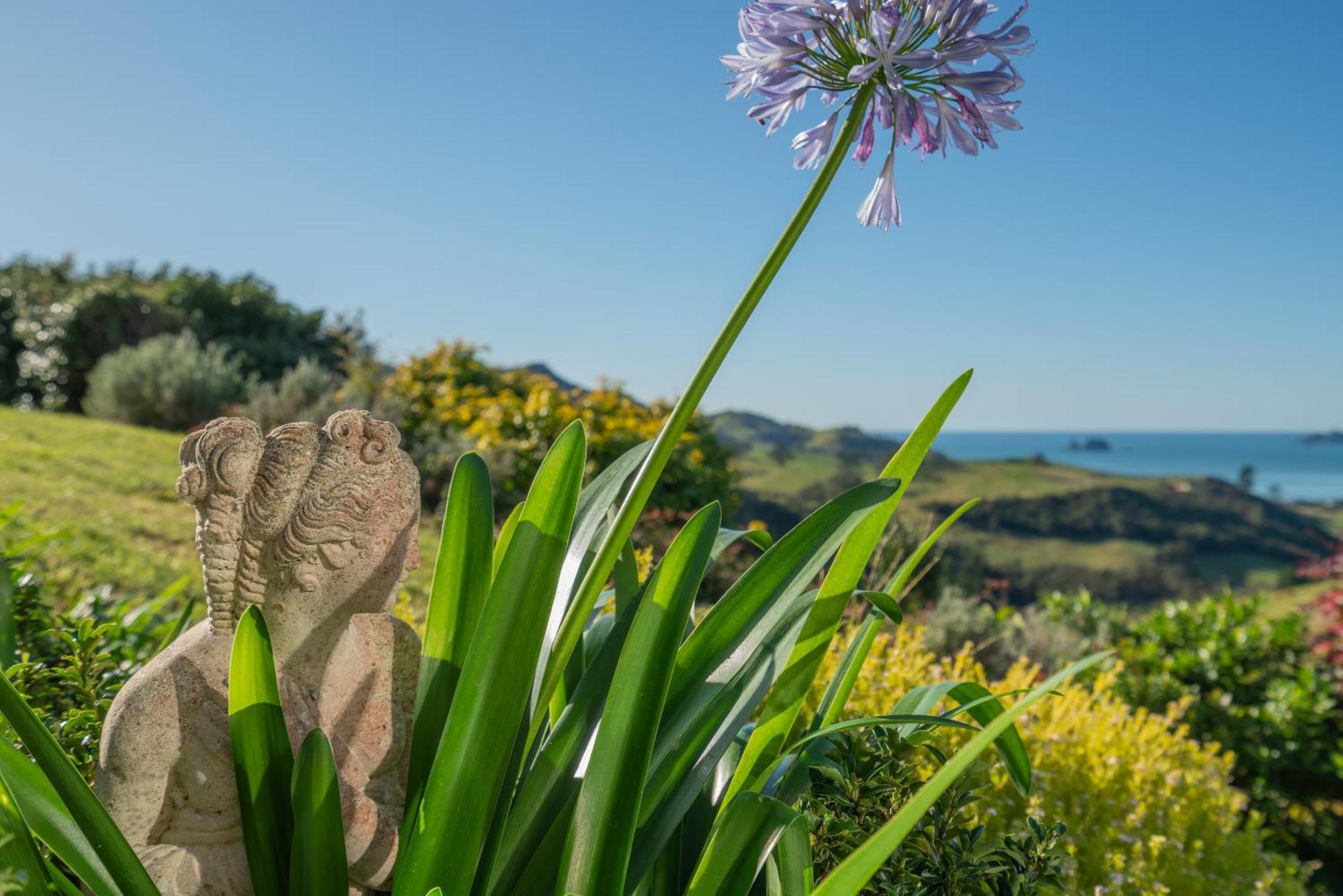 Bayview Valley * Whitianga